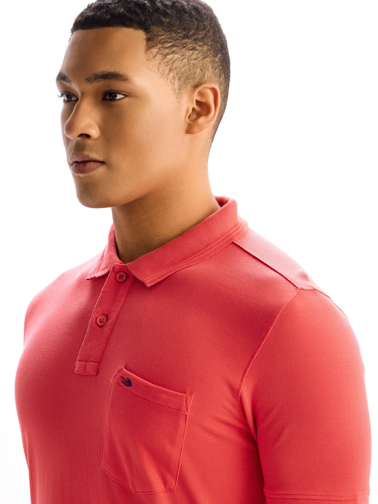 Dark Pink Regular Fit Pure Cotton Polo T-Shirt