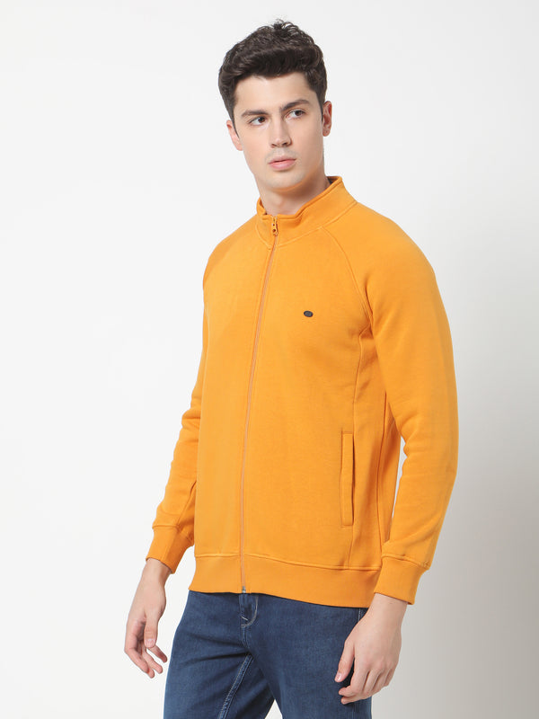 Yellow  Plain  Casual Sweatshirt