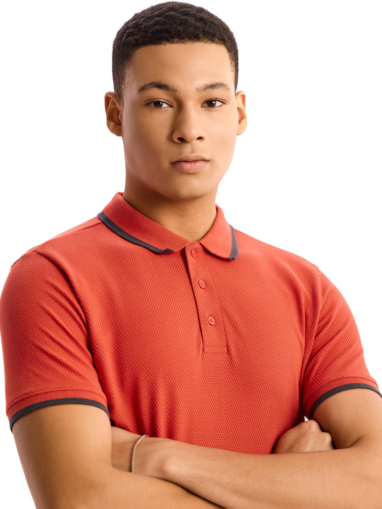 Orange  Cotton Polo T-Shirt