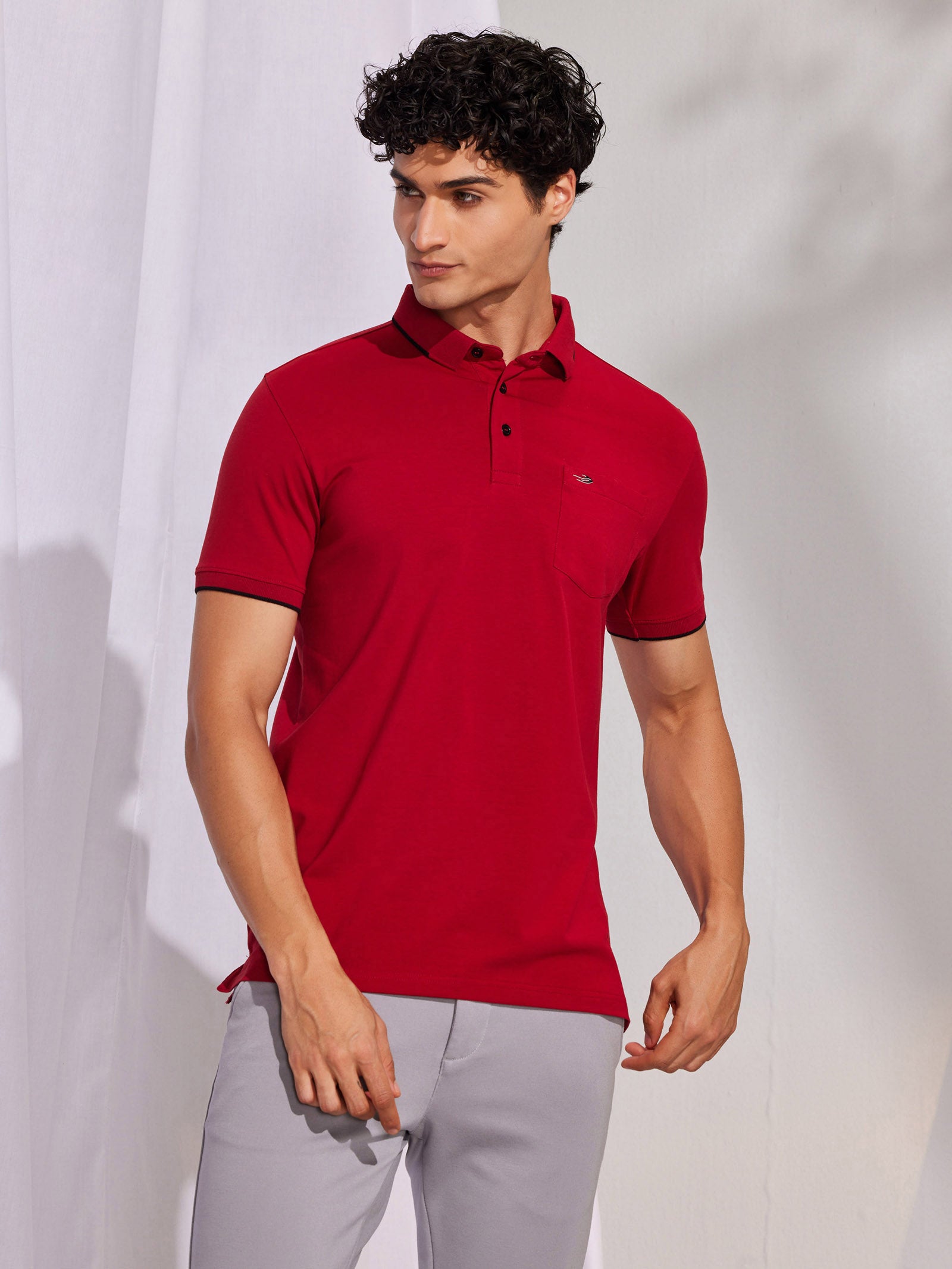 Maroon Solid Polo T-Shirt